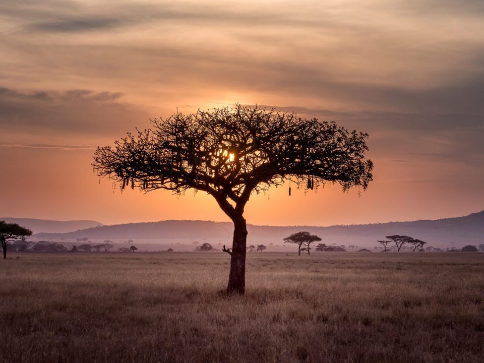 Chapter Zero Southern Africa Header