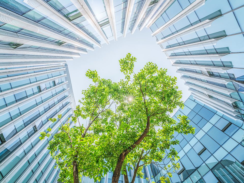 GettyImages 1314148583 web use